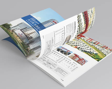 山東龍泉股份宣傳畫(huà)冊(cè)